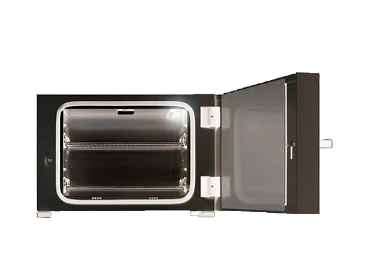 最安挑戦！ Soft lithography station SU-8 mold PDMS chip - Darwin 版画