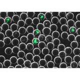 OB1 Microfluidic Droplet Pack - Darwin Microfluidics