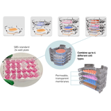 Revivocell NANOSTACKS Culture Insets for 24-Well Plates (pack of 72)