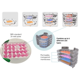 Revivocell NANOSTACKS Culture Insets for 24-Well Plates