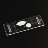 Bild von Plasma-Generations-Chip - Runder und rhombischer Footprint Fluidic 783