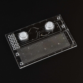 Image of Continuous-flow PCR chip