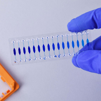 Image of Reaction Chamber Chip  - Various chamber volumes/depths Fluidic 621