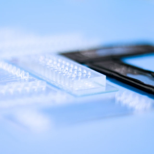 Organ-On-Chips Image