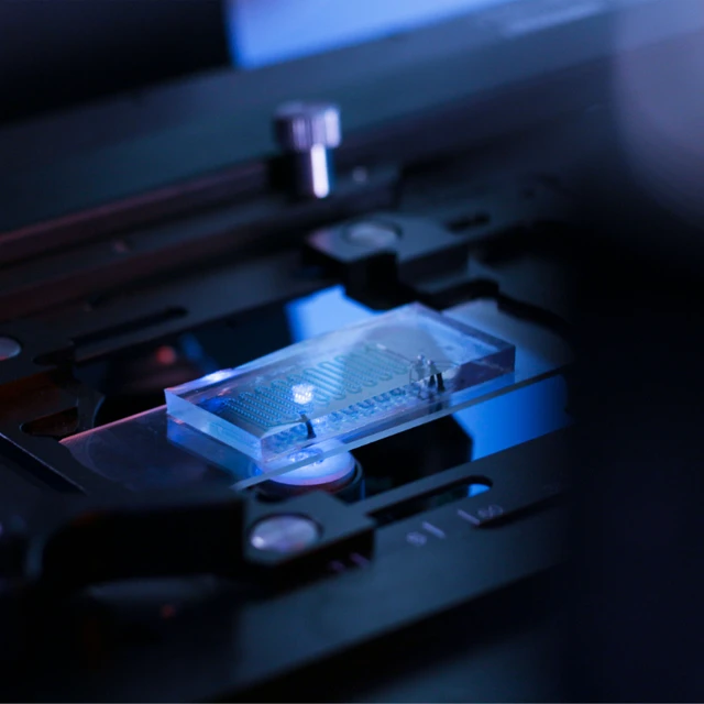 Microscopes Image