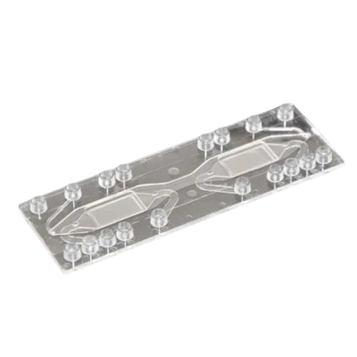 Cell Culture Chips