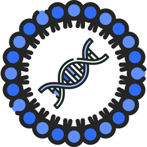 Icon of Lipid Nanoparticle (LNP)