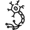 Skin Cultures Icon