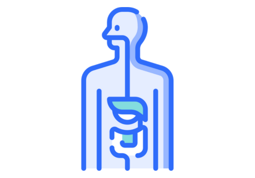 Human Anatomy icon