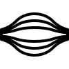 Tissue Engineering Category