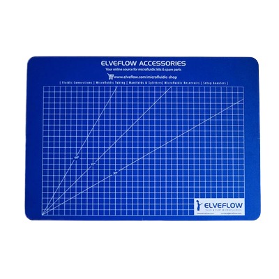 Microfabrication and Chip Prototyping