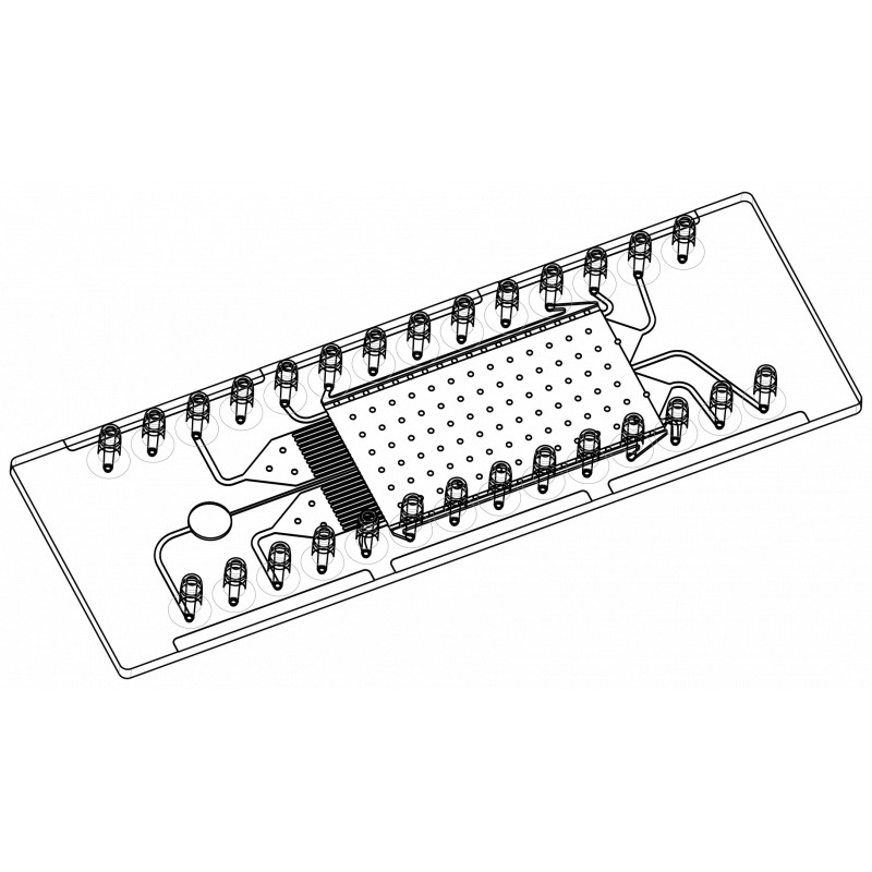 Sample Preparation Chips