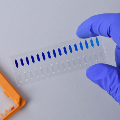 Image of Reaction Chamber Chip  - Various chamber volumes/depths Fluidic 622