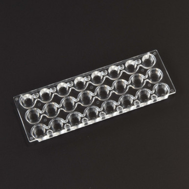 Image of 24-Well Chip