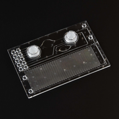 Image of Continuous-flow PCR chip