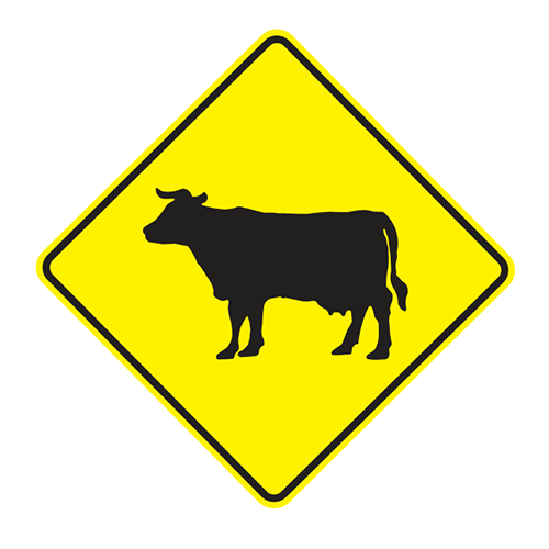 W11-4  |  CATTLE XING  |  30x30
