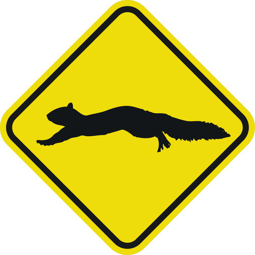 SQUIRREL CROSSING - 12X12