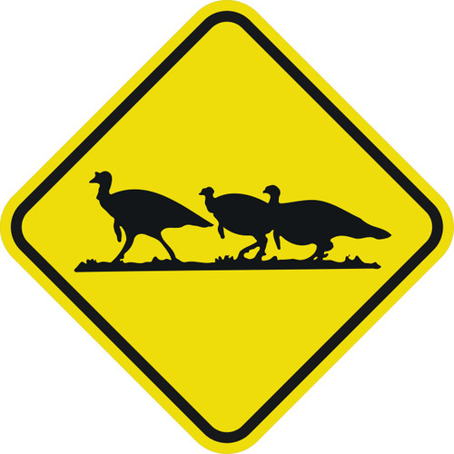 TURKEY CROSSING - 12X12