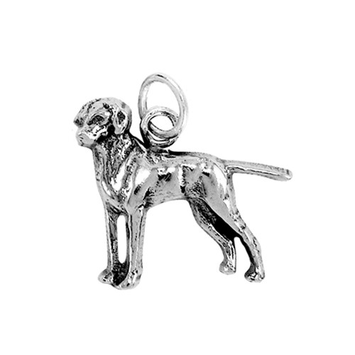 Vizsla dog keychain, stainless steel dog key chain, bag charm, pet  jewellery, keepsake, hungarian vizsla jewelry, animal, Christmas, gift