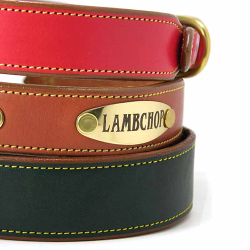 Plain Bridle Leather Dog Collar with nameplate