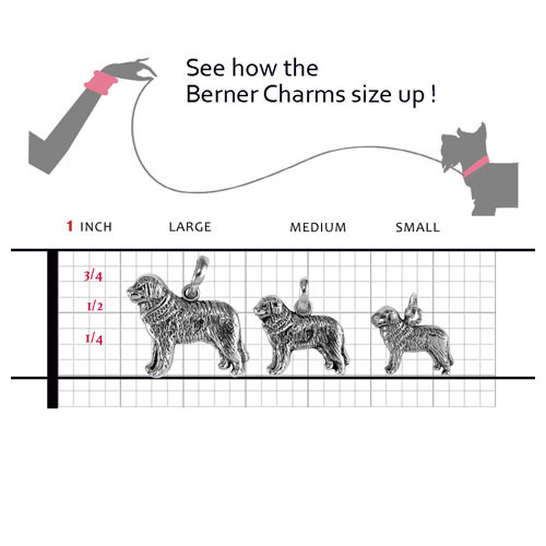 bernese mountain dog growth chart