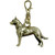 Belgian Malinois Brass Zipper Pull