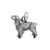 Springer Spaniel Small Charm