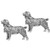 Field Spaniel Cufflinks