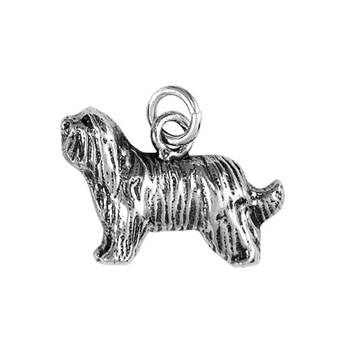 small bearded collie