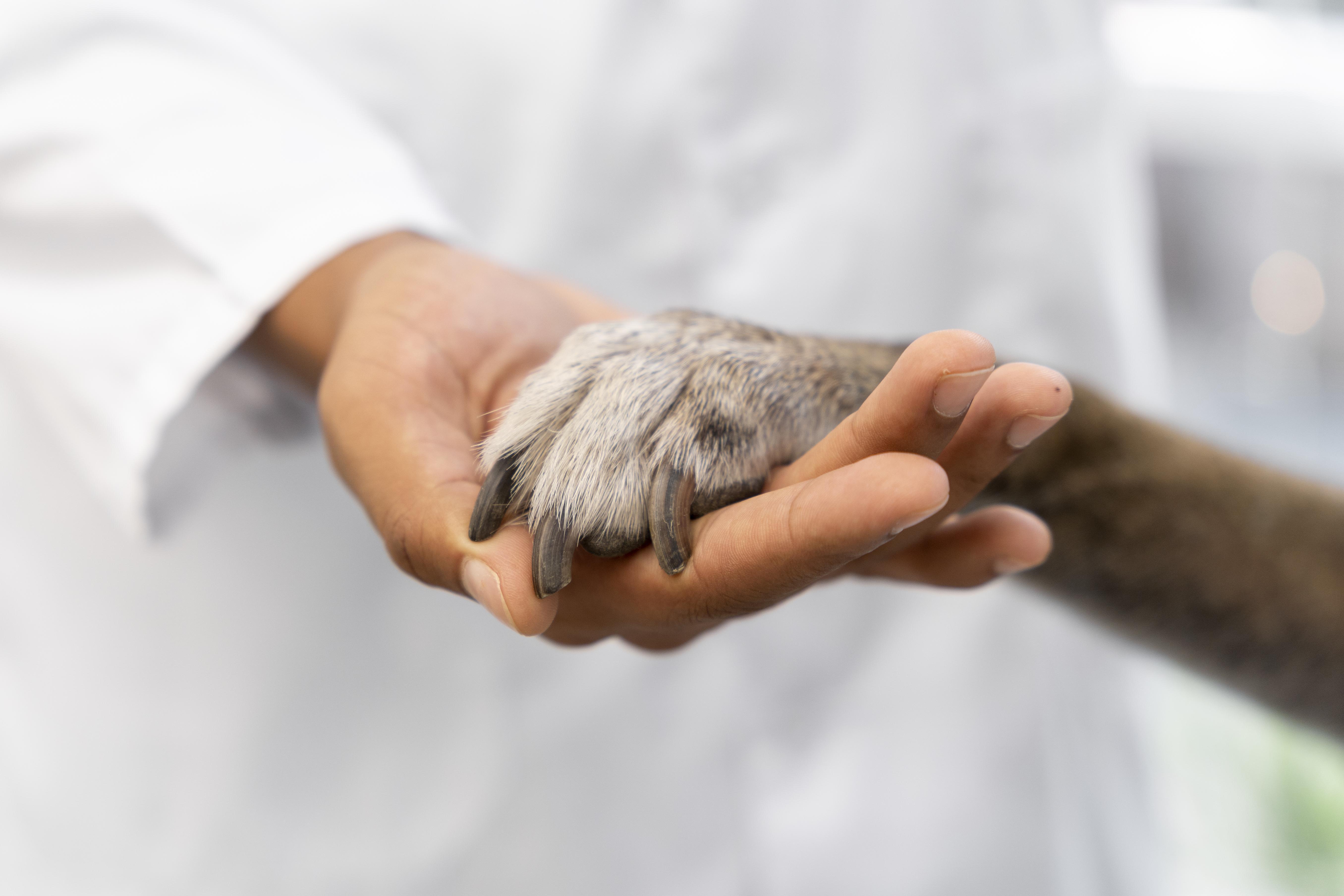 Veterinaria Farmacia Mondéjar