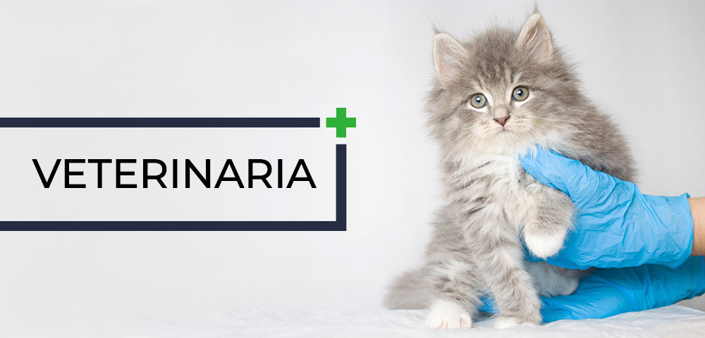 Veterinaria en Farmacia Mondéjar