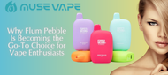 Why Flum Pebble Is Becoming the Go-To Choice Why Flum Pebble Is Becoming the Go-To Choice