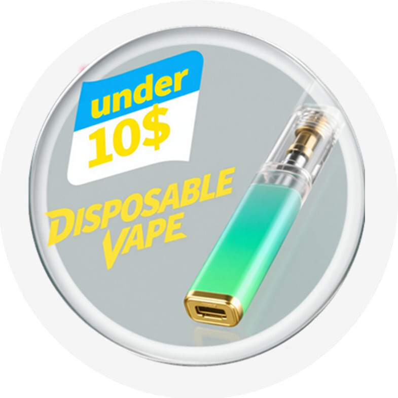 Disposable Under $10