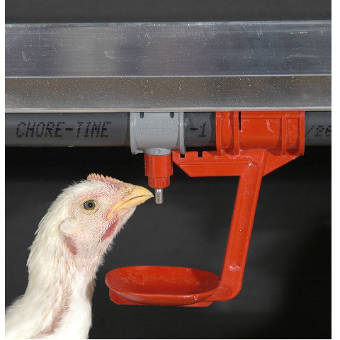 POULTRY DRINKER CATCH CUP FLOOR DRINKERS CHORE-TIME 36591