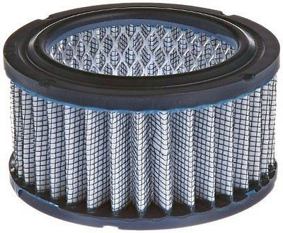 Replacement Filter Element #0A12B8