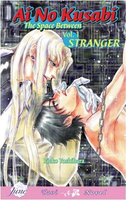 Ai No Kusabi The Space Between Volume 1: Stranger (Yaoi Novel)