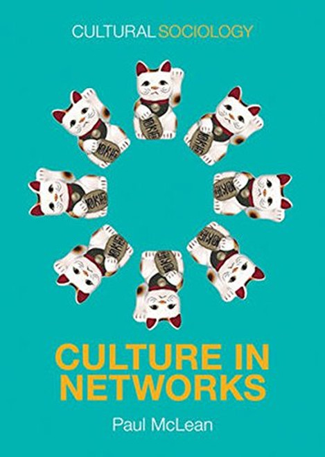 Culture in Networks (Cultural Sociology)