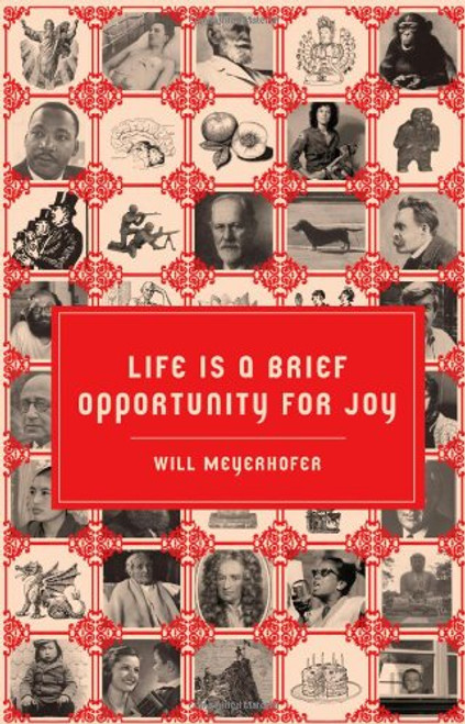 Life is a Brief Opportunity for Joy