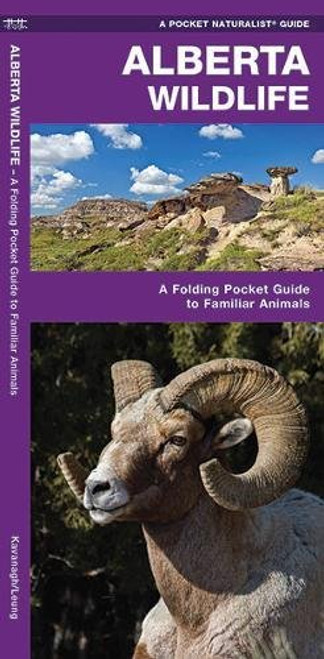 Alberta Wildlife: A Folding Pocket Guide to Familiar Species (A Pocket Naturalist Guide)