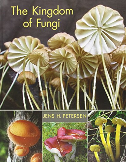 The Kingdom of Fungi