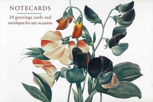 Card Box of 20 Notecards and Envelopes: Sweetpea: A fabulous collection of 20 cards and