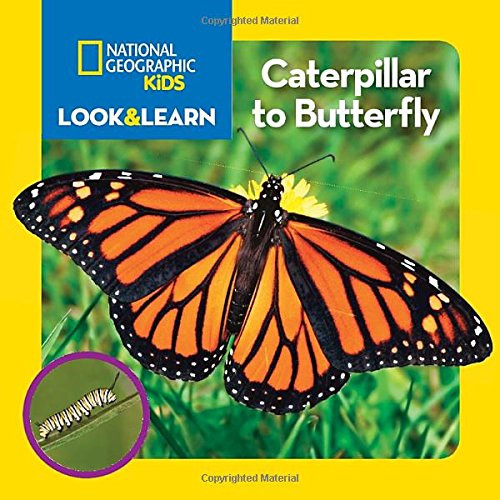 National Geographic Kids Look and Learn: Caterpillar to Butterfly (Look & Learn)