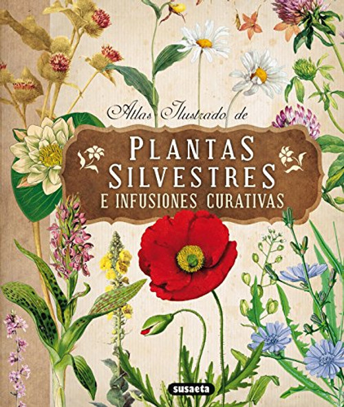 Atlas ilustrado de plantas silvestres e infusiones curativas (Spanish Edition)
