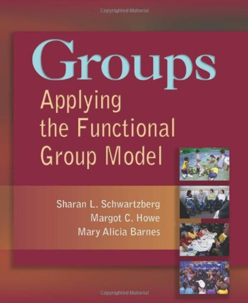 Groups: Applying the Functional Group Model