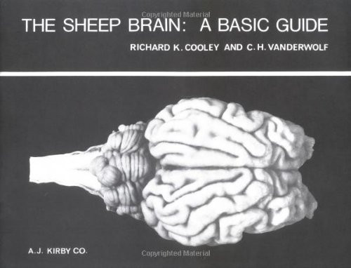 The Sheep Brain: A Basic Guide