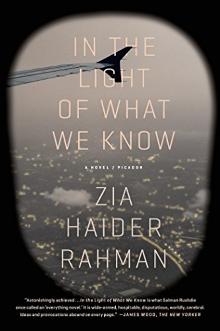 In the Light of What We Know: A Novel