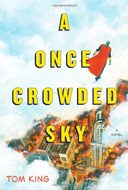 A Once Crowded Sky: A Novel
