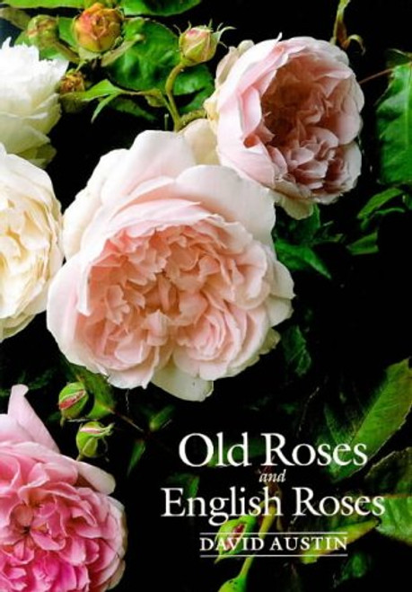 Old Roses and English Roses