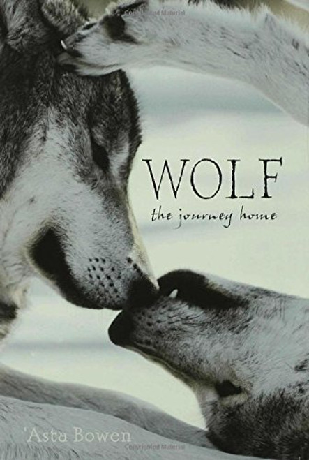 Wolf: The Journey Home