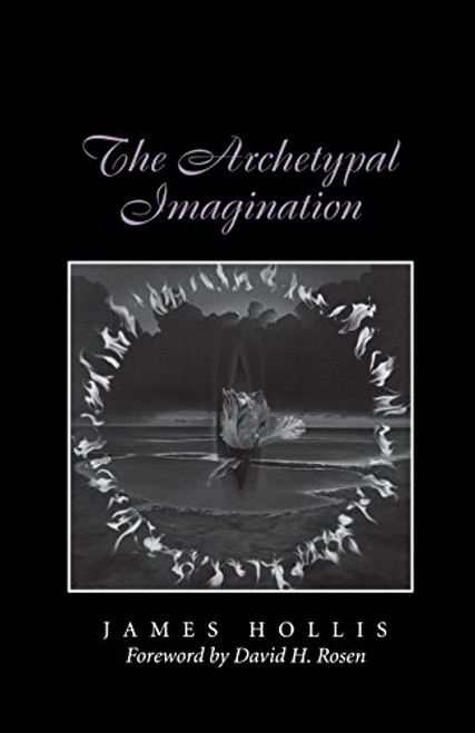The Archetypal Imagination (Carolyn and Ernest Fay Series in Analytical Psychology)